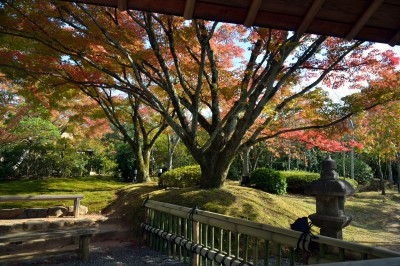 お庭の小屋にて