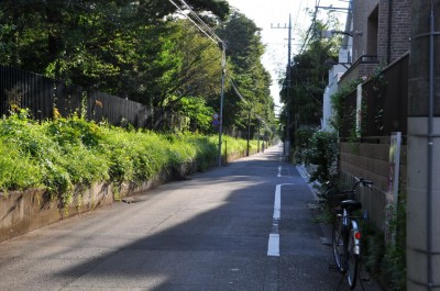 中学の時に通っていた道 中学の時に通っていた道